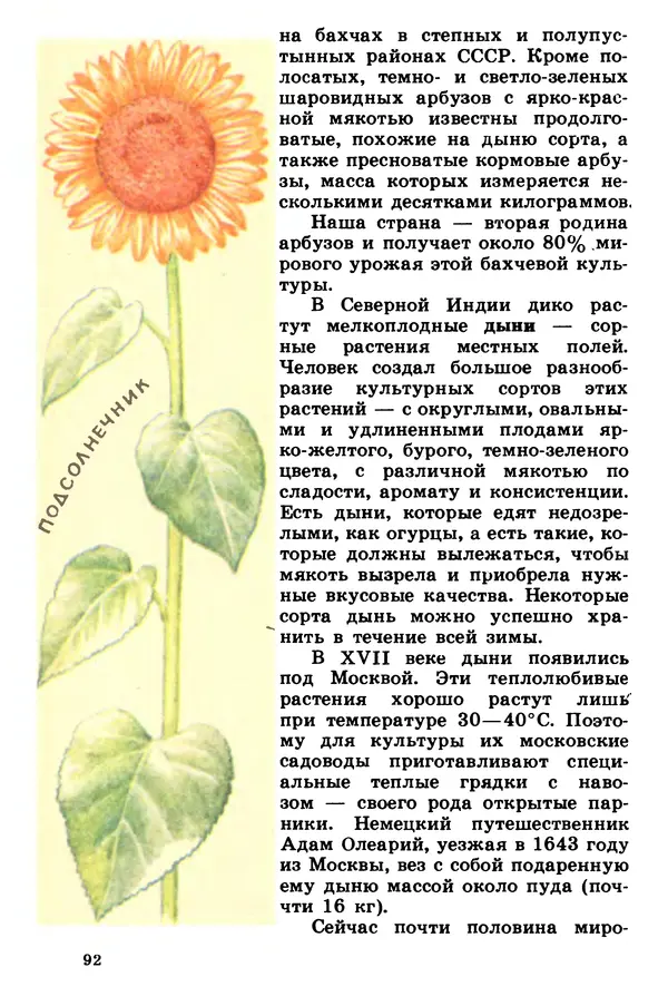 Борис Головкин - Рассказы о растениях-переселенцах - Страница № 93