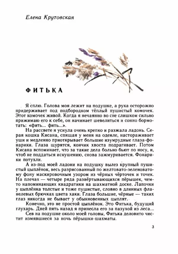 Илья Дворкин - Верный аист - Страница № 8