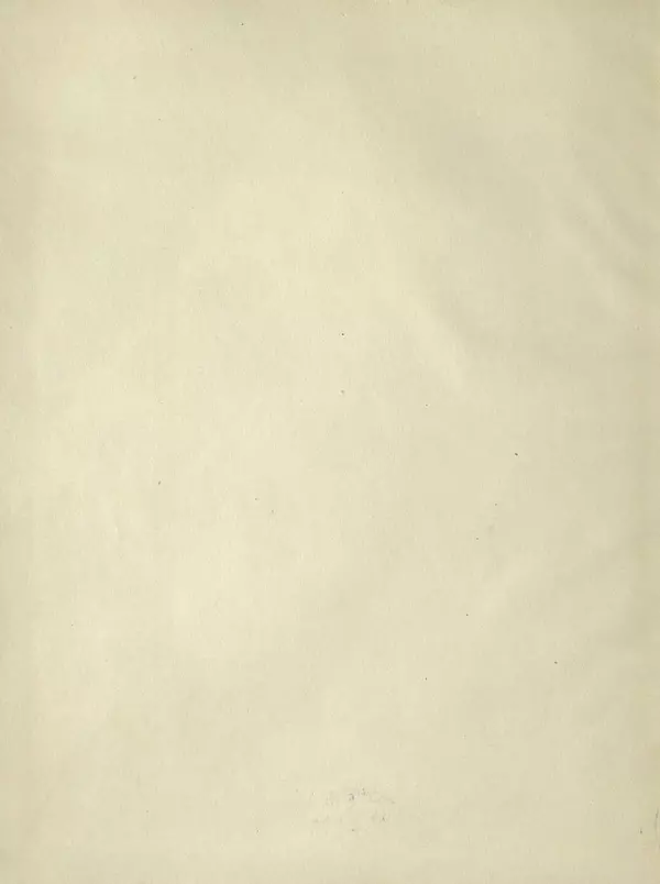 Эдуард Шим - Звездочка. Стихи, рассказы, сказки - Страница № 3