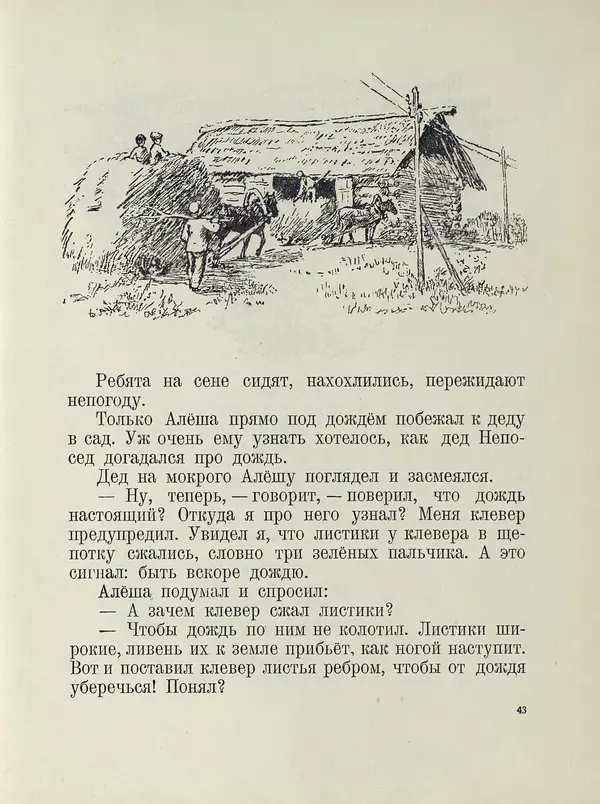 Эдуард Шим - Звездочка. Стихи, рассказы, сказки - Страница № 48