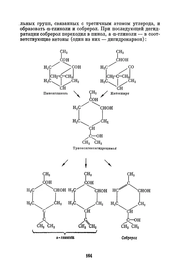 Павел Старосельский - Егор Егорович Вагнер (1849—1903) - Страница № 164