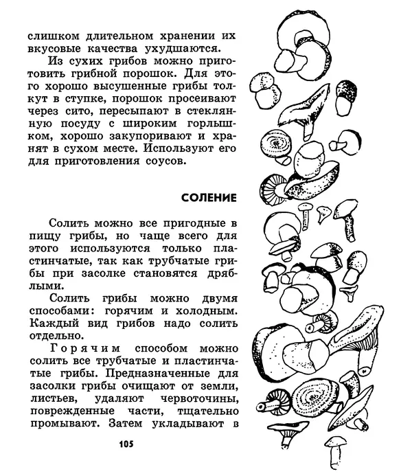 К. Шульга - Грибы наших лесов - Страница № 135