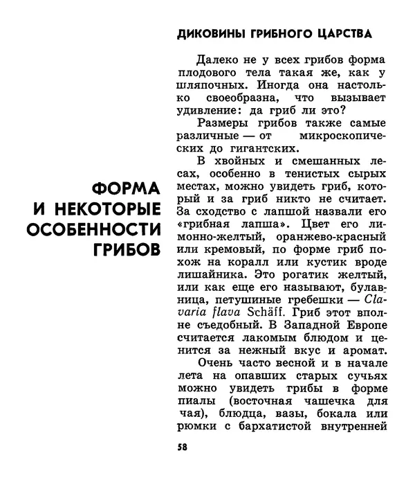 К. Шульга - Грибы наших лесов - Страница № 74