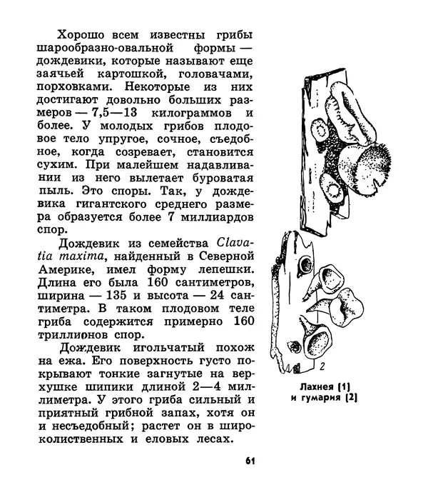К. Шульга - Грибы наших лесов - Страница № 77