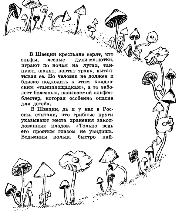 К. Шульга - Грибы наших лесов - Страница № 93