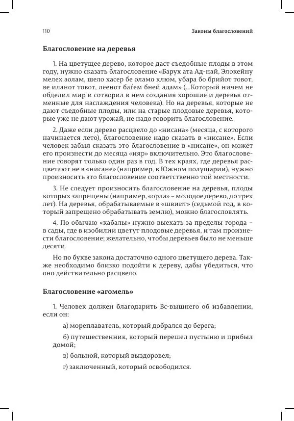 Александр Мендельбойм - Законы благословений - Страница № 110