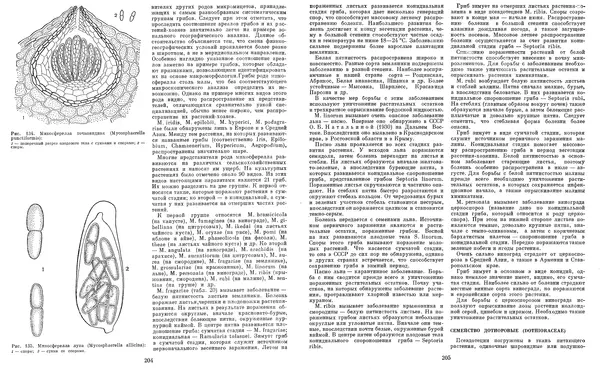  Коллектив авторов - Мир растений. Грибы - Страница № 108