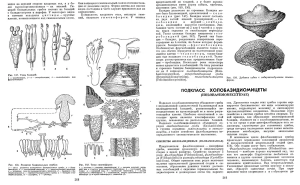  Коллектив авторов - Мир растений. Грибы - Страница № 115