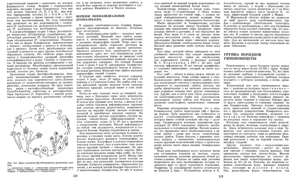  Коллектив авторов - Мир растений. Грибы - Страница № 116