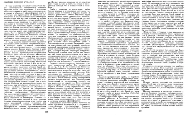  Коллектив авторов - Мир растений. Грибы - Страница № 120