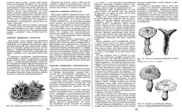  Коллектив авторов - Мир растений. Грибы - Страница № 134