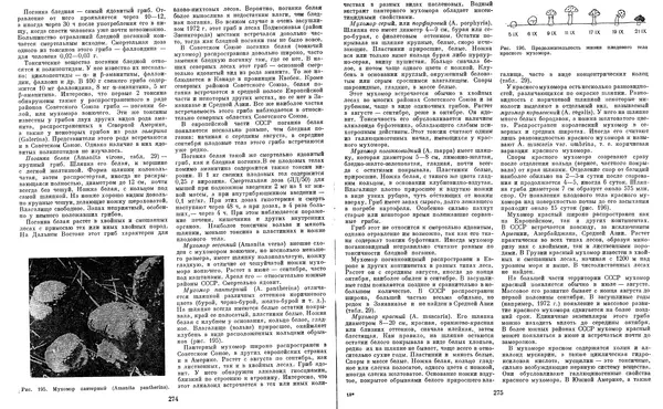  Коллектив авторов - Мир растений. Грибы - Страница № 144
