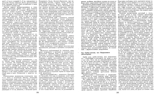  Коллектив авторов - Мир растений. Грибы - Страница № 149