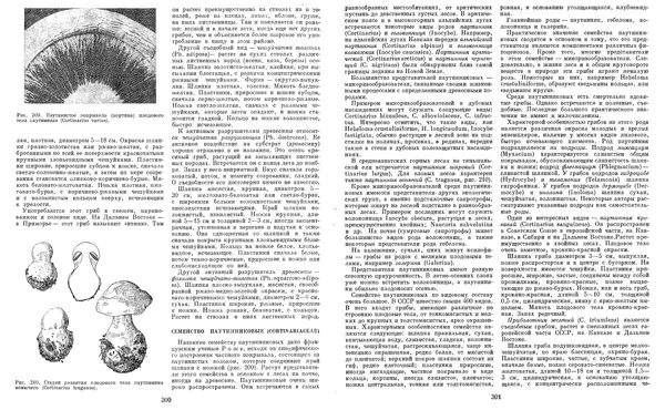  Коллектив авторов - Мир растений. Грибы - Страница № 157