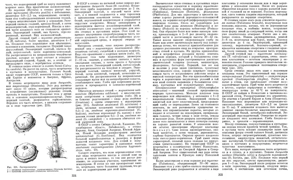  Коллектив авторов - Мир растений. Грибы - Страница № 170