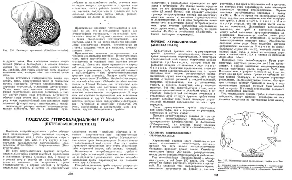  Коллектив авторов - Мир растений. Грибы - Страница № 173