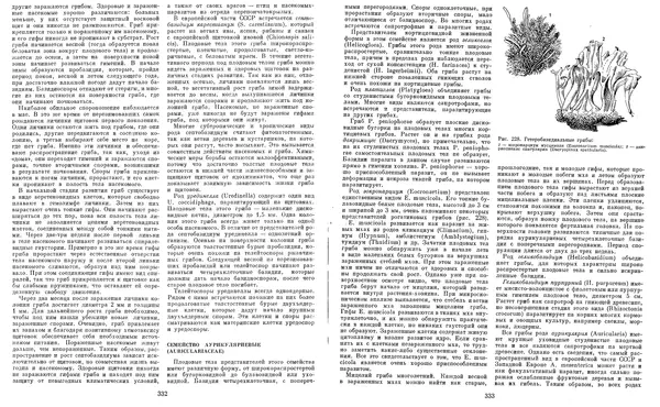  Коллектив авторов - Мир растений. Грибы - Страница № 174