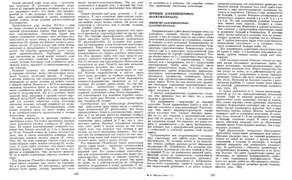  Коллектив авторов - Мир растений. Грибы - Страница № 176