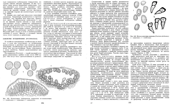  Коллектив авторов - Мир растений. Грибы - Страница № 185