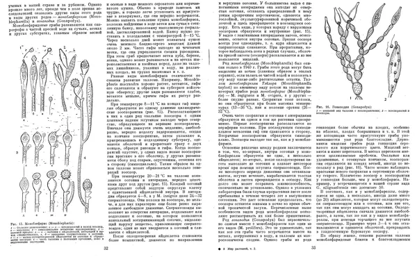  Коллектив авторов - Мир растений. Грибы - Страница № 19