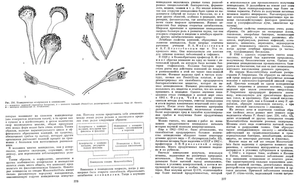  Коллектив авторов - Мир растений. Грибы - Страница № 197