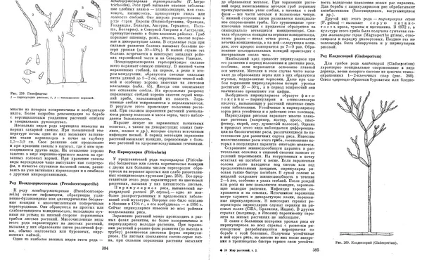  Коллектив авторов - Мир растений. Грибы - Страница № 201