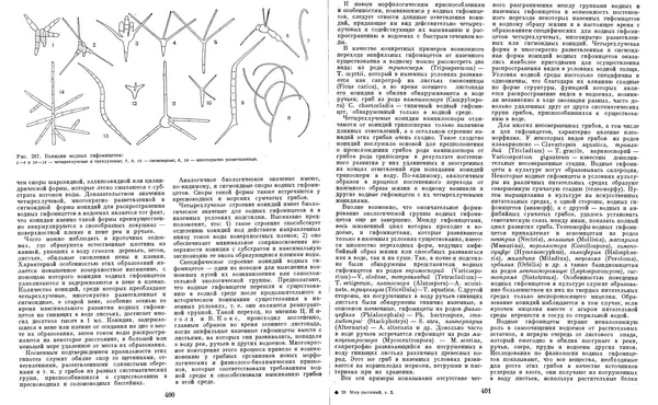  Коллектив авторов - Мир растений. Грибы - Страница № 209