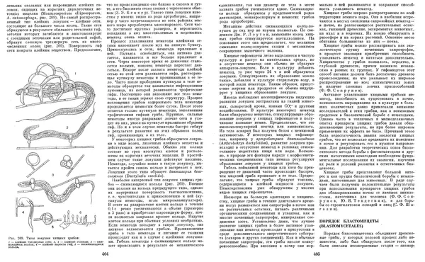  Коллектив авторов - Мир растений. Грибы - Страница № 211