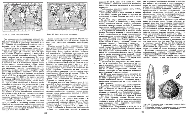  Коллектив авторов - Мир растений. Грибы - Страница № 220