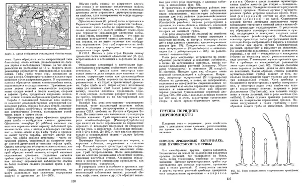  Коллектив авторов - Мир растений. Грибы - Страница № 68