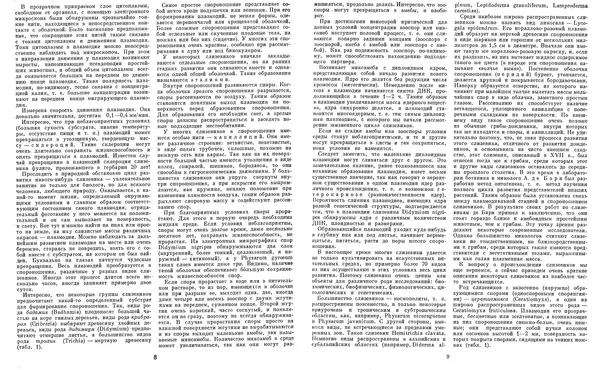  Коллектив авторов - Мир растений. Грибы - Страница № 7