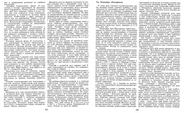  Коллектив авторов - Мир растений. Грибы - Страница № 71