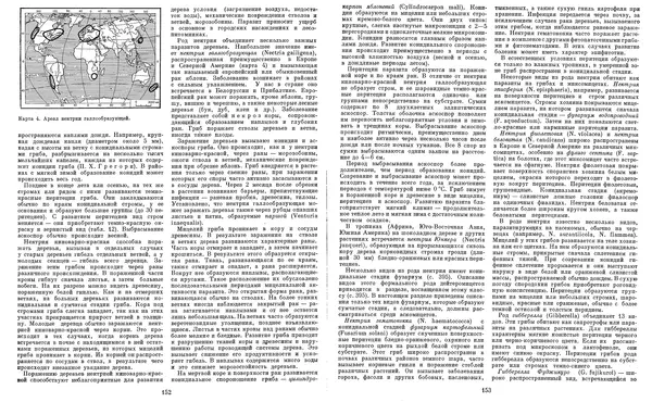  Коллектив авторов - Мир растений. Грибы - Страница № 81