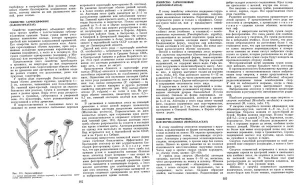  Коллектив авторов - Мир растений. Грибы - Страница № 97