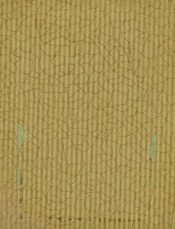 Сергей Розанов - Негритенок и обезьяна - Страница № 2