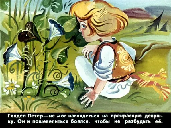  Автор неизвестен - Народные сказки - Петер Молоток - Страница № 13