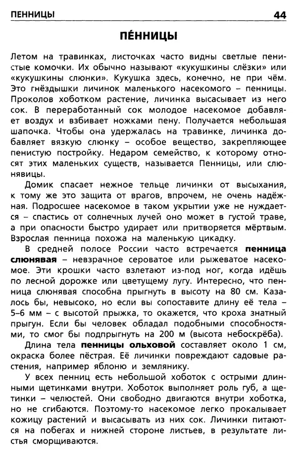 Мария Сергеева - Насекомые, пауки, многоножки  - Страница № 45