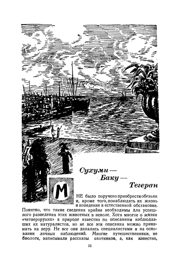 Леонид Воронин - В Африку за обезьянами - Страница № 12