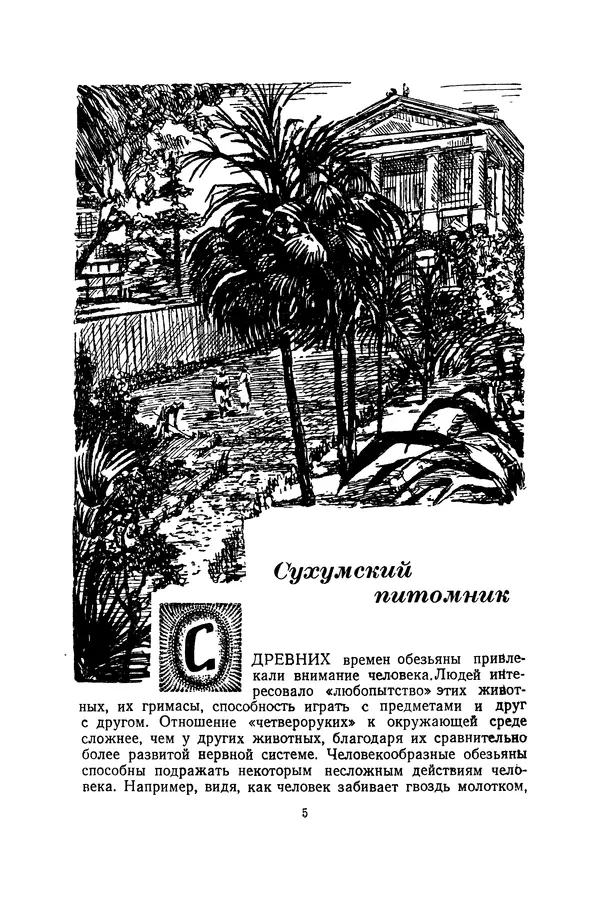 Леонид Воронин - В Африку за обезьянами - Страница № 6