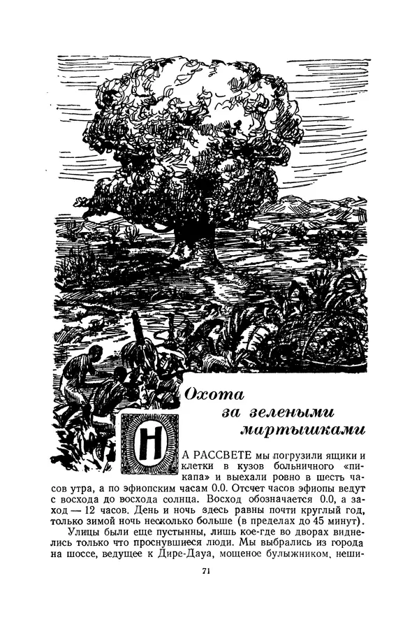 Леонид Воронин - В Африку за обезьянами - Страница № 72