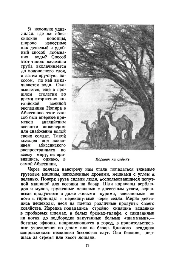 Леонид Воронин - В Африку за обезьянами - Страница № 74