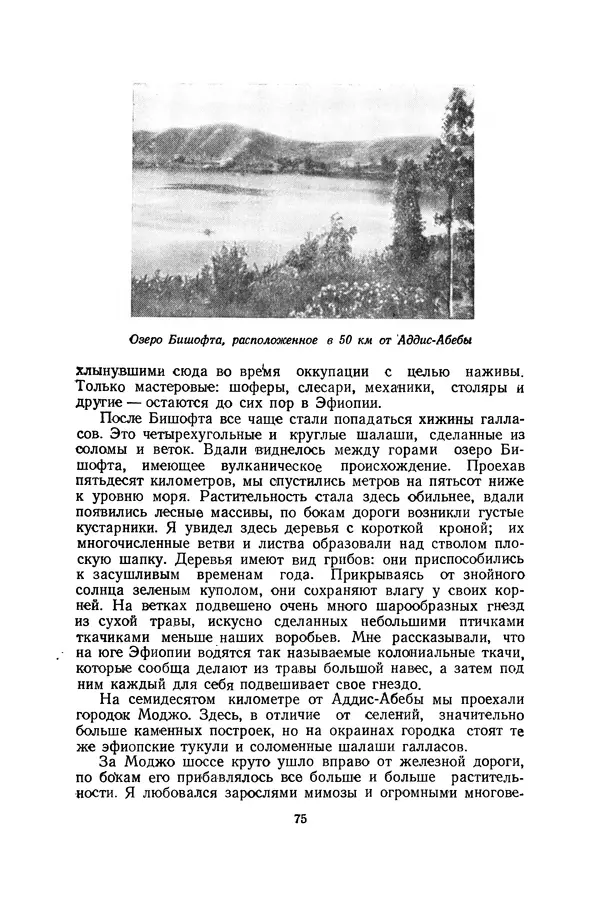 Леонид Воронин - В Африку за обезьянами - Страница № 76