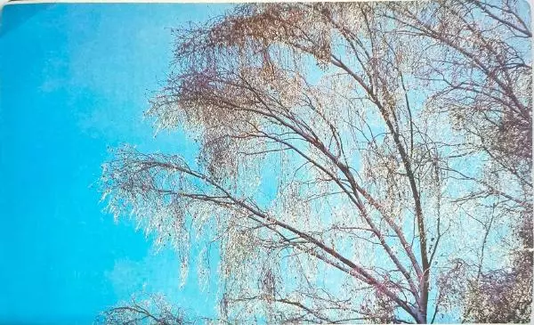  календарь - Молодежный календарь 1988 - Страница № 12