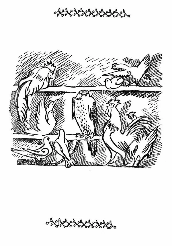  Автор неизвестен - Народные сказки - Было или не было... - Страница № 91