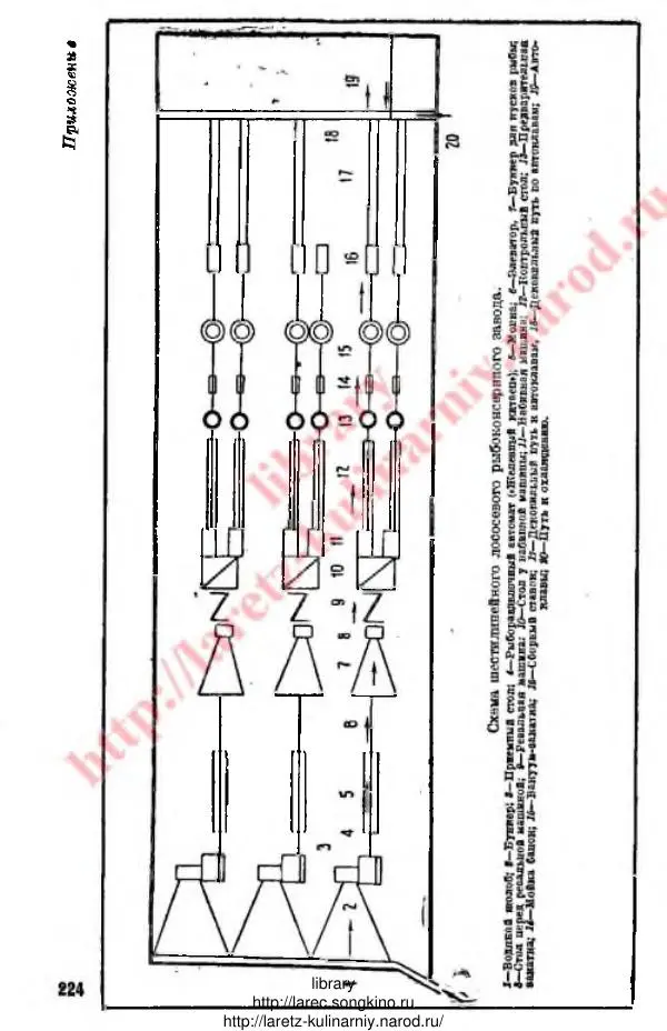 Д. Елисеев - Технология консервирования рыбы и других водных промысловых - Страница № 223
