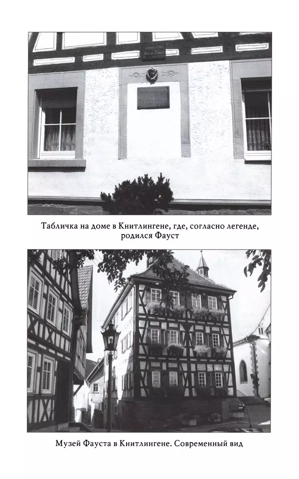 Лео Руигби - Фауст - Страница № 212