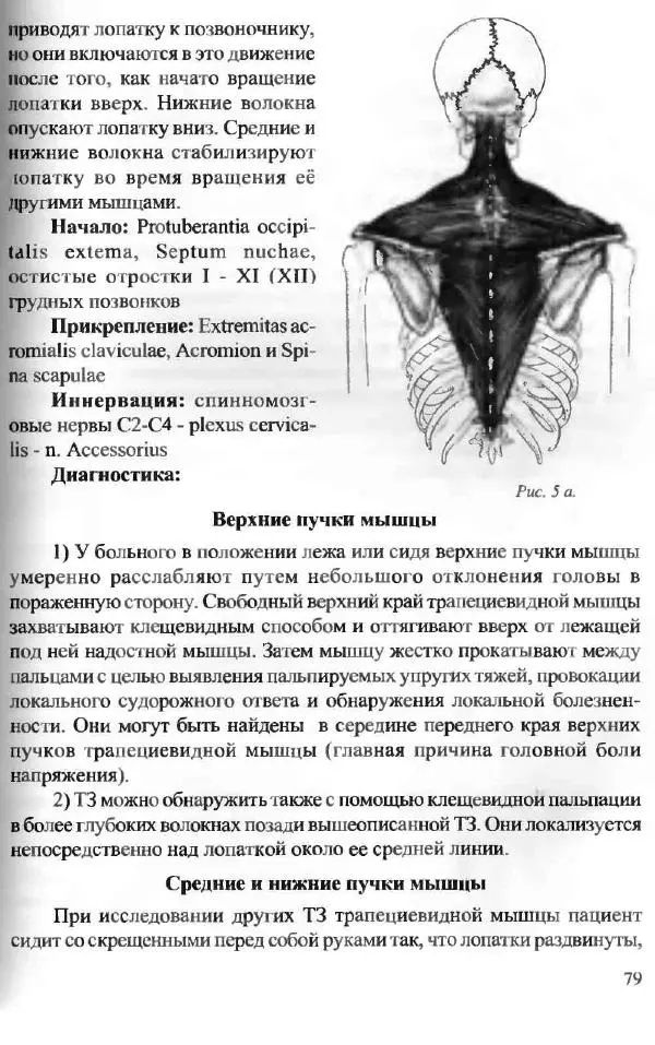  Коллектив авторов - Боль в спине - Страница № 79