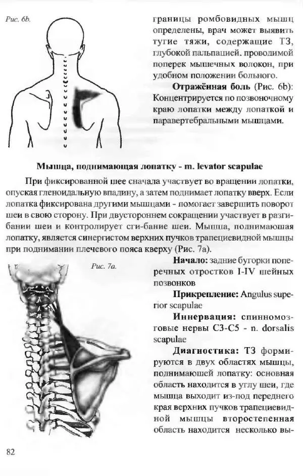  Коллектив авторов - Боль в спине - Страница № 82