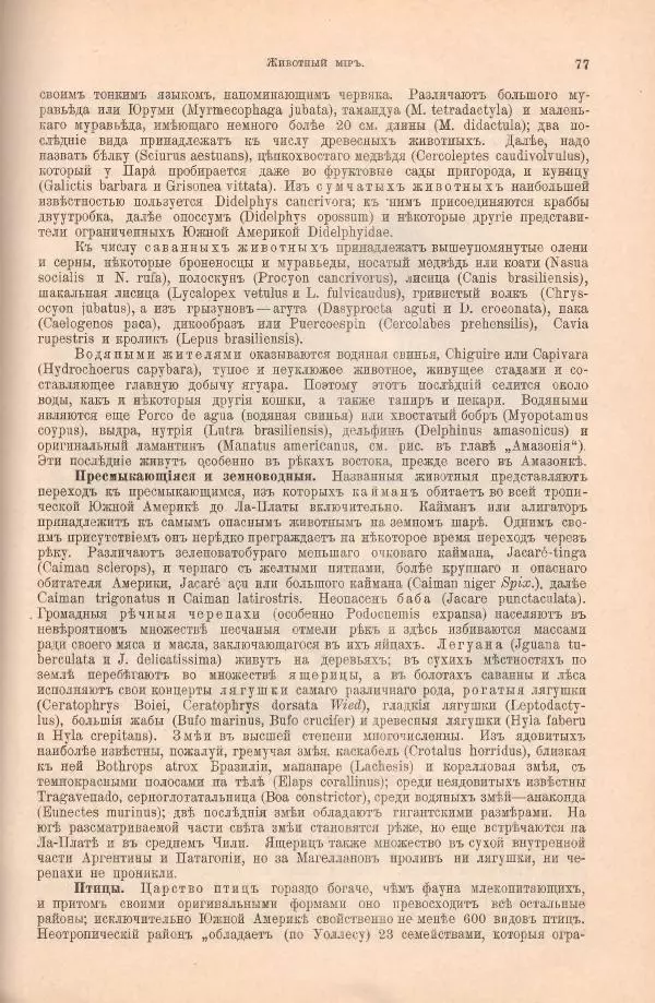 Вильгельм Сиверс - Южная и Средняя Америка - Страница № 109