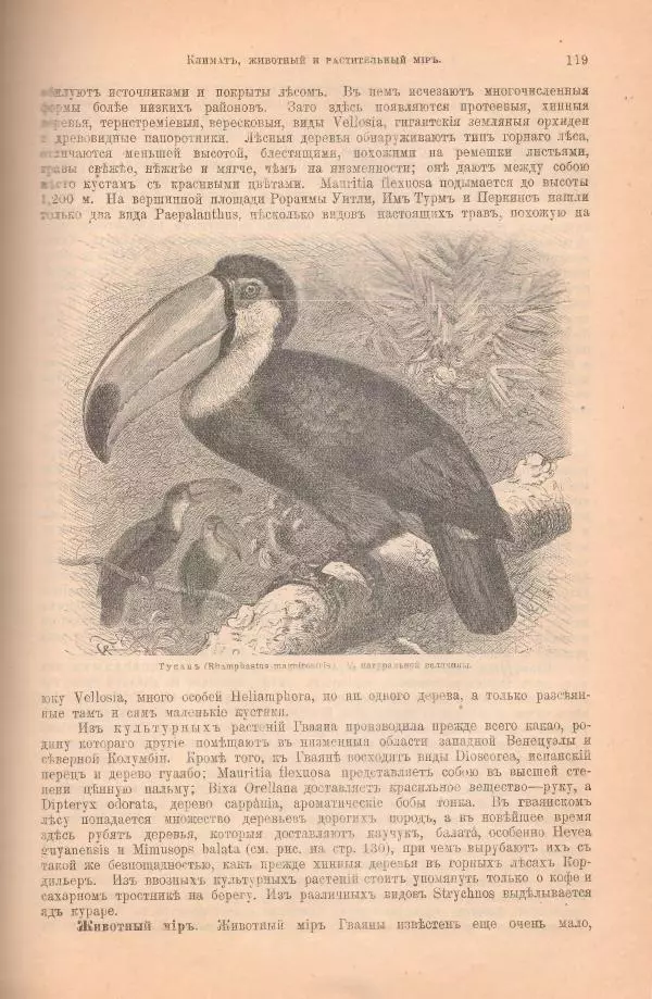 Вильгельм Сиверс - Южная и Средняя Америка - Страница № 161